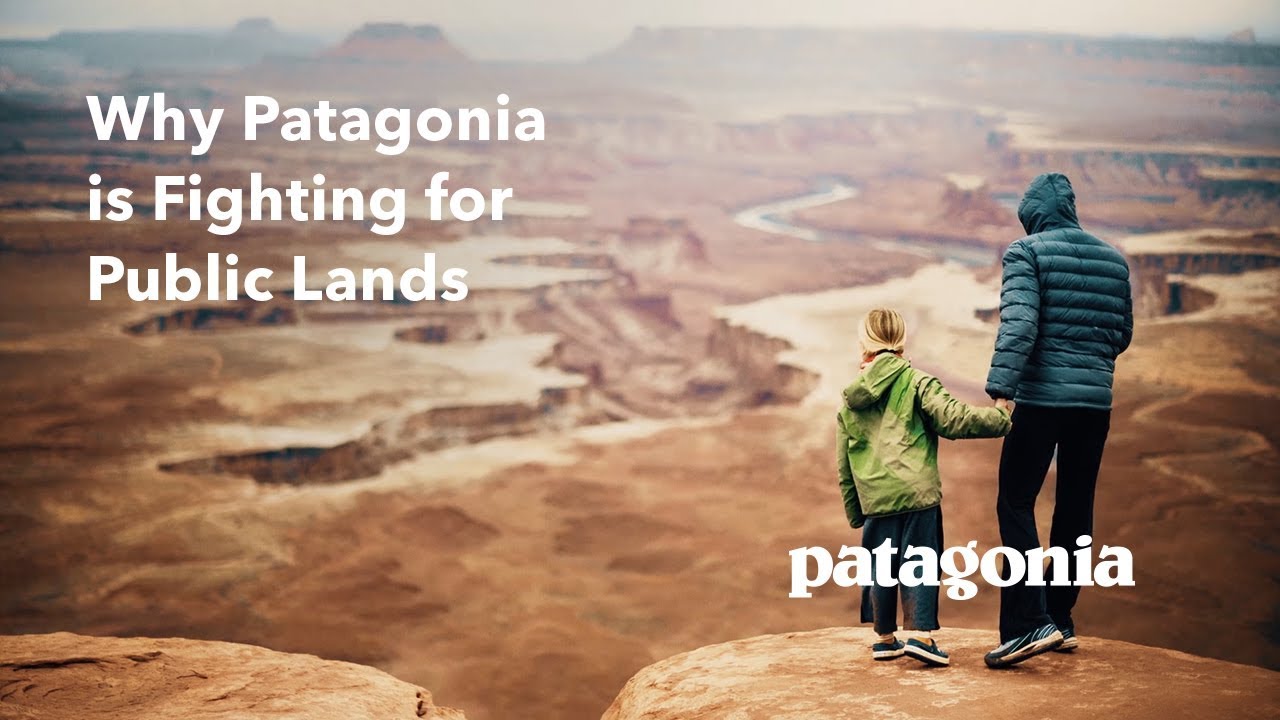 Patagonia Ad Shows A Company Taking A Stand DanThornton